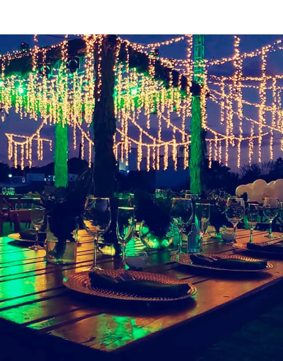 Wedding Planner Guadalajara