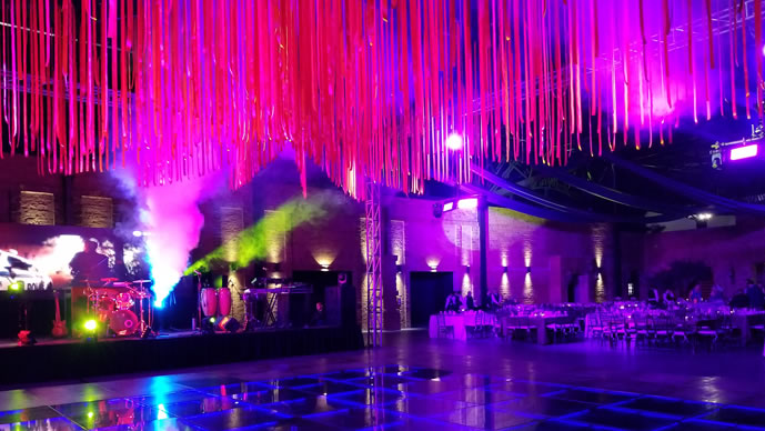 Viñedo. Salón de eventos Viñedo